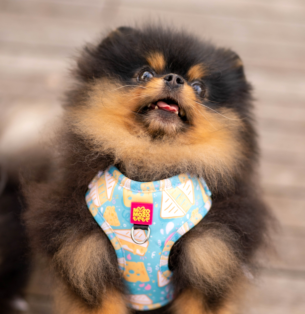 MozoMozo Cheese Toastie Harness