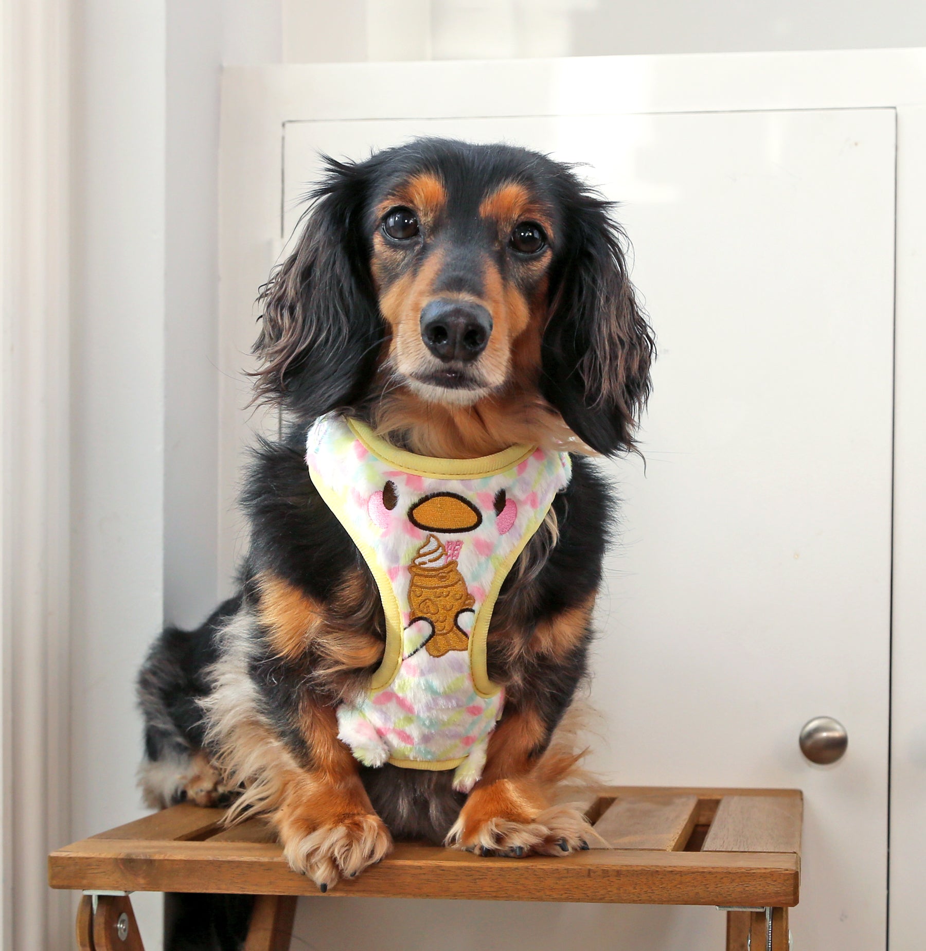 MozoMozo Taiyaki-Hiyoko Harness