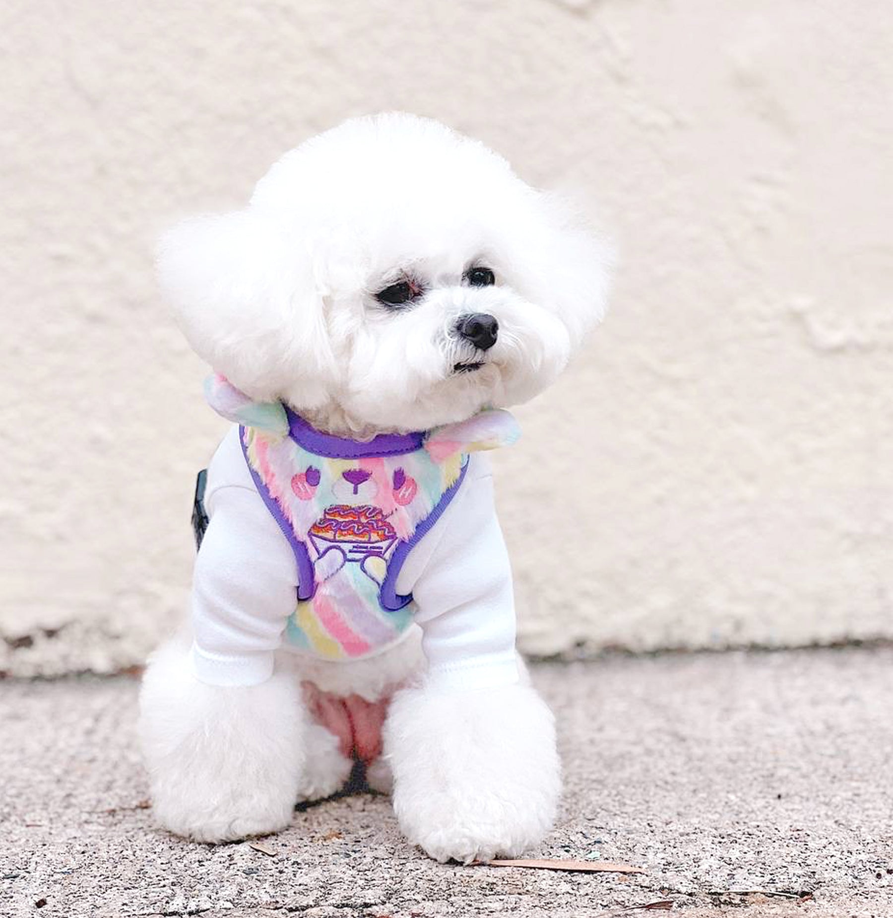 MozoMozo Takoyaki-Bani Harness