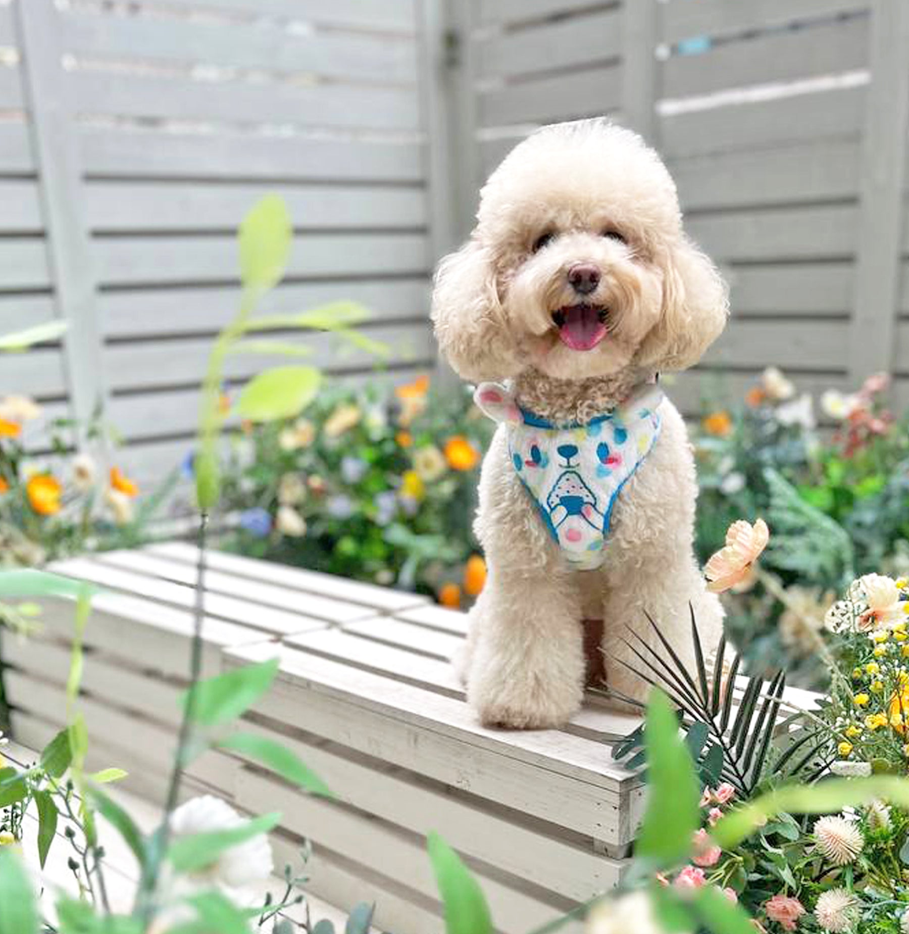 MozoMozo Onigiri-Kuma Harness