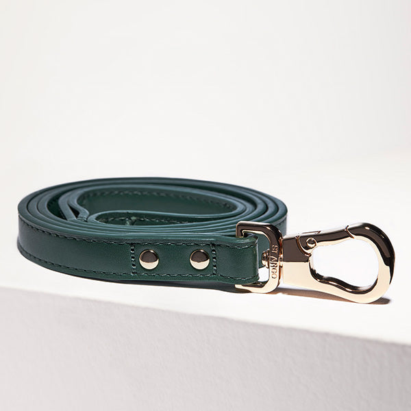 ST ARGO Bottle Green Leash