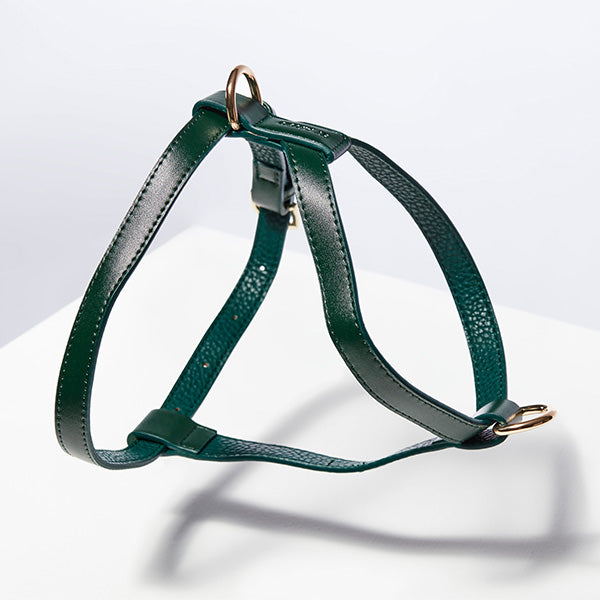 ST ARGO Bottle Green Harness