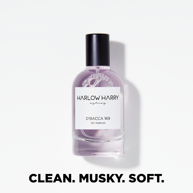 Harlow Harry Pet Parfum D'Bacca 169