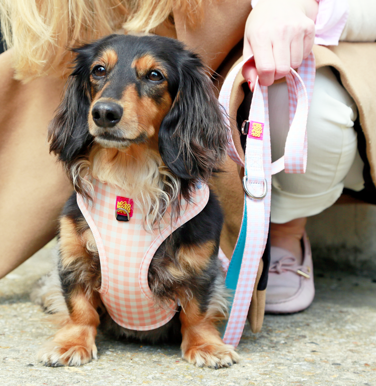 MozoMozo Honey Gingham Leash