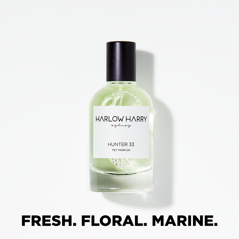 Harlow Harry Pet Parfum Hunter 33
