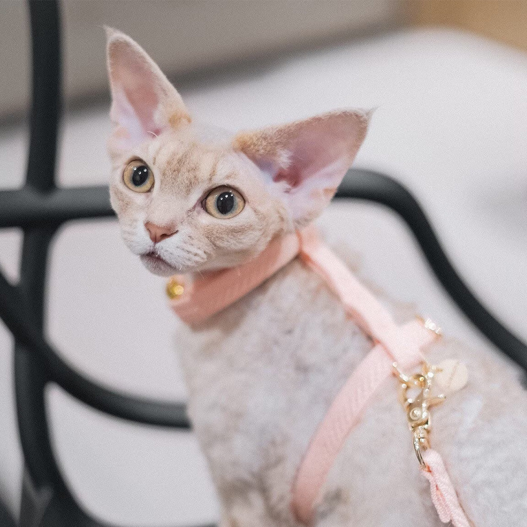 Linécru KÖT Harness