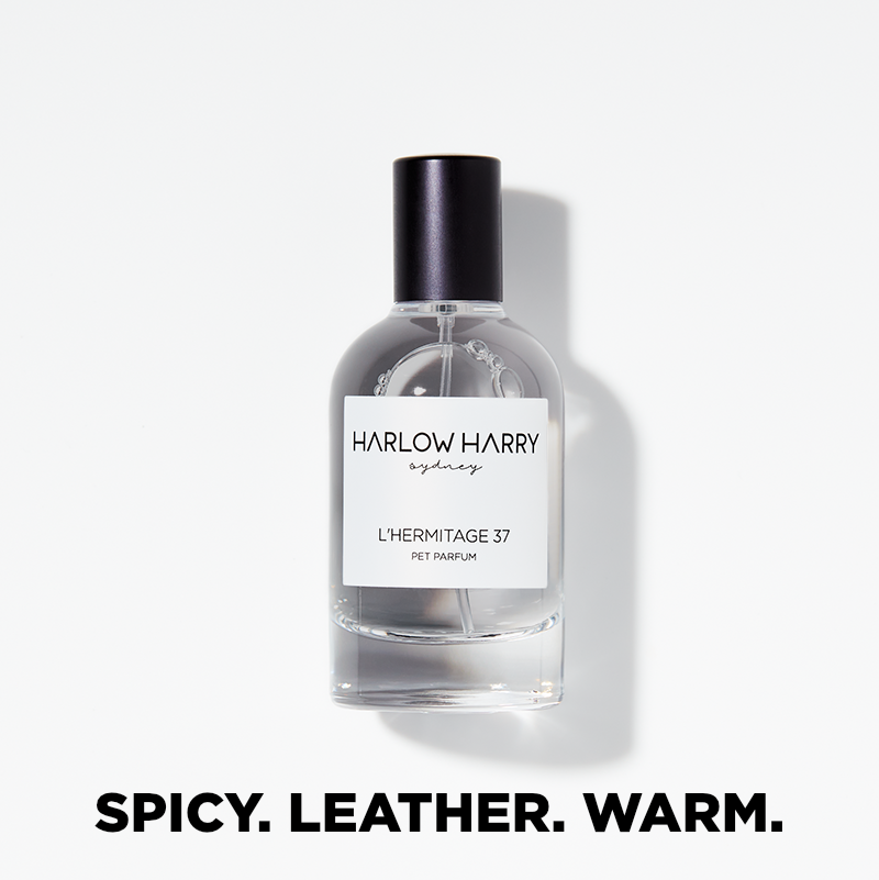 Harlow Harry Pet Parfum L'Hermitage 37