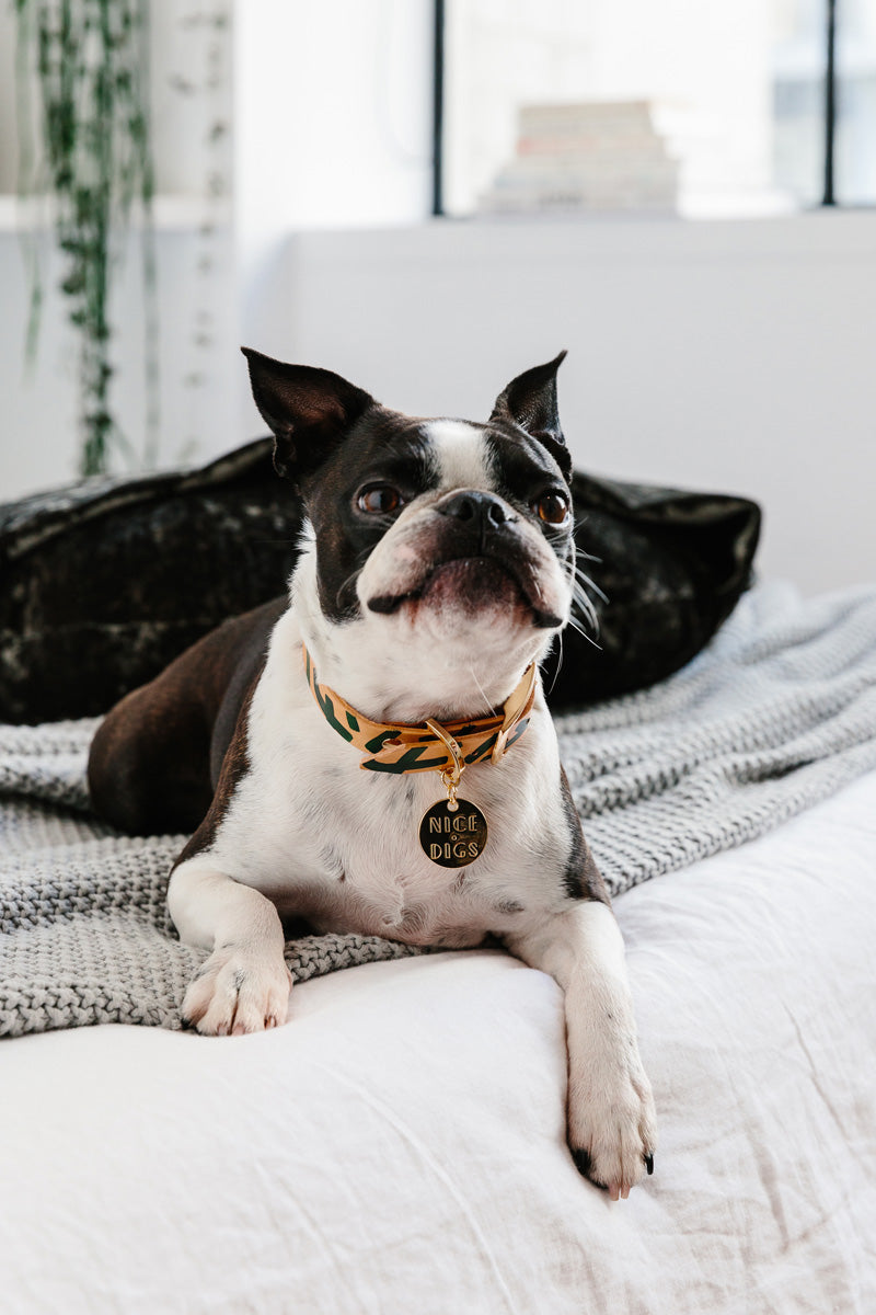 Nice Digs Mark Making Collar