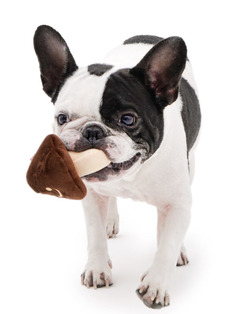 The Collective Mooshi Toy