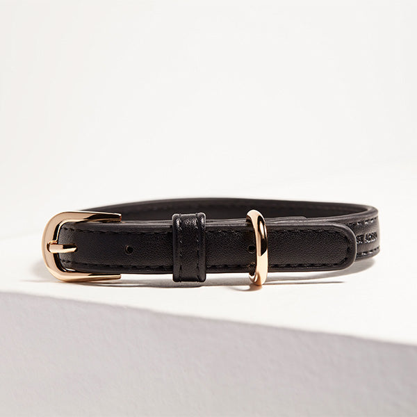 ST ARGO Navy Collar
