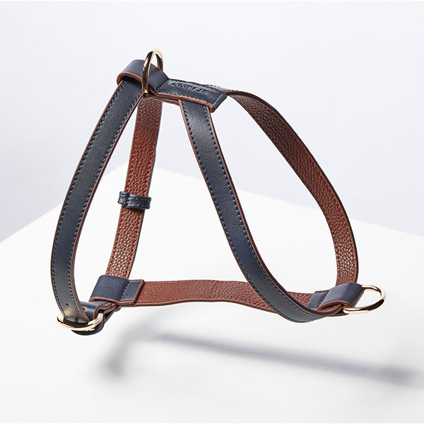 ST ARGO Navy Harness
