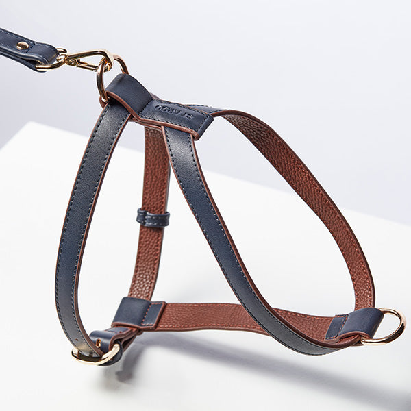 ST ARGO Navy Harness