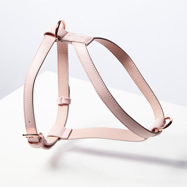 ST ARGO Pale Pink Harness
