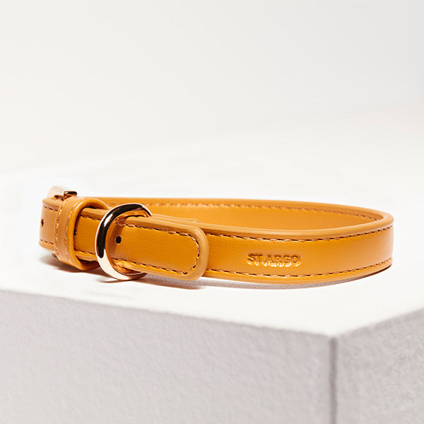 ST ARGO Peach Collar