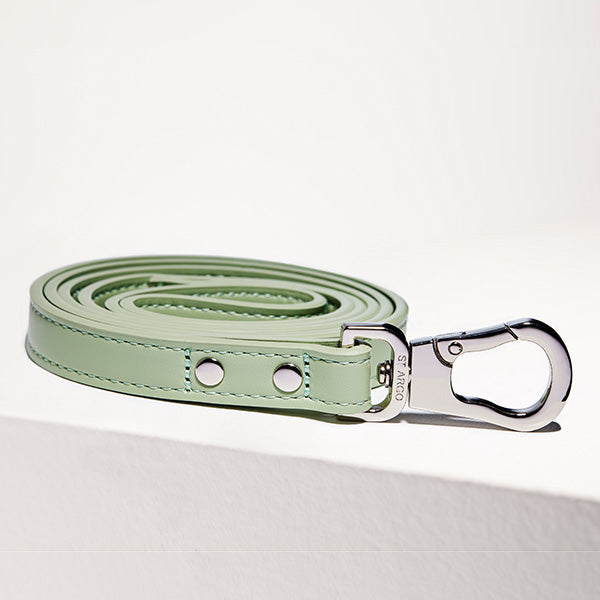 ST ARGO Sage Leash
