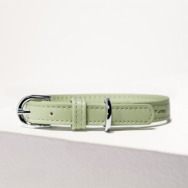 ST ARGO Sage Collar