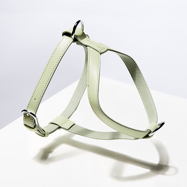 ST ARGO Sage Harness