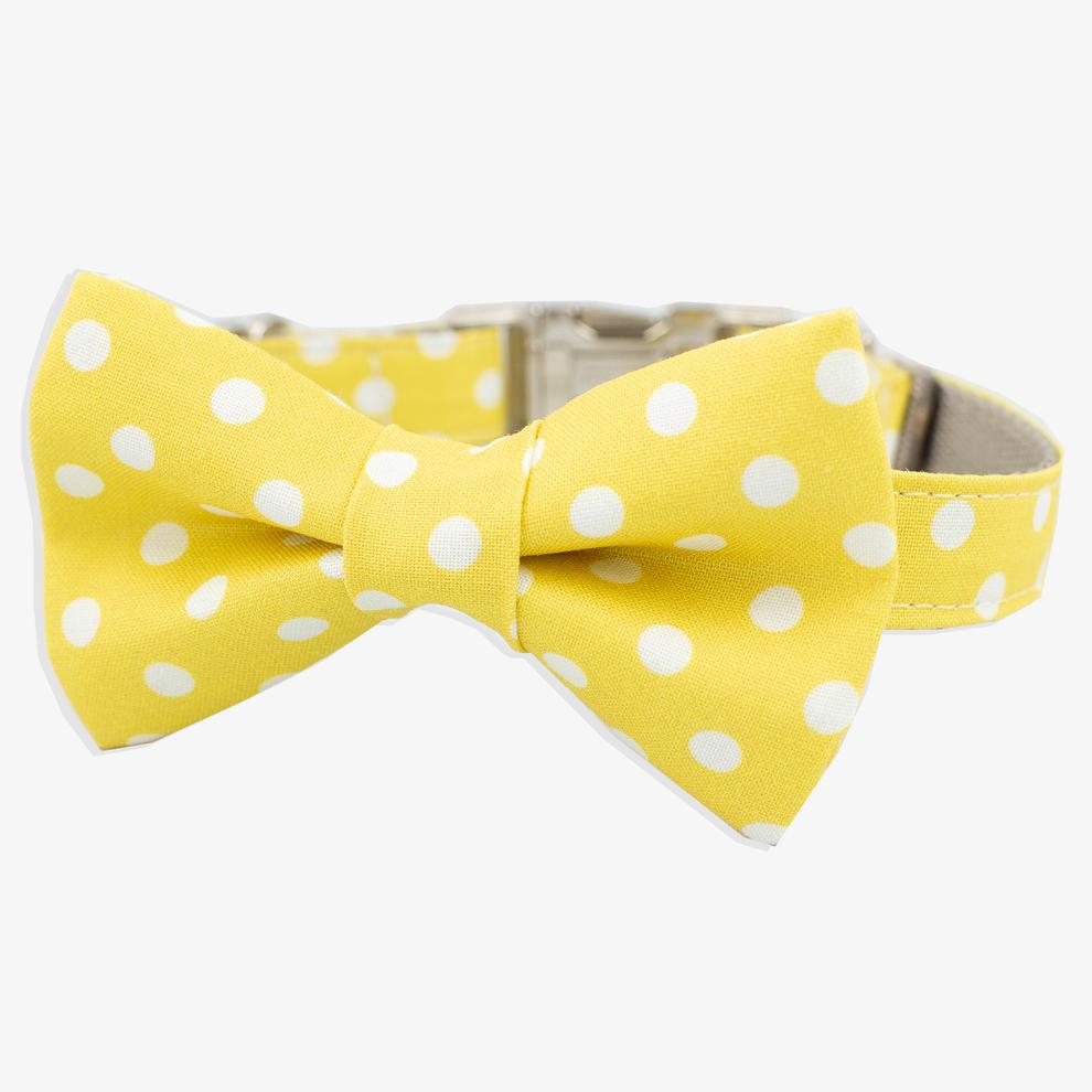 The Rover Boutique Gold Coast Bow Collar
