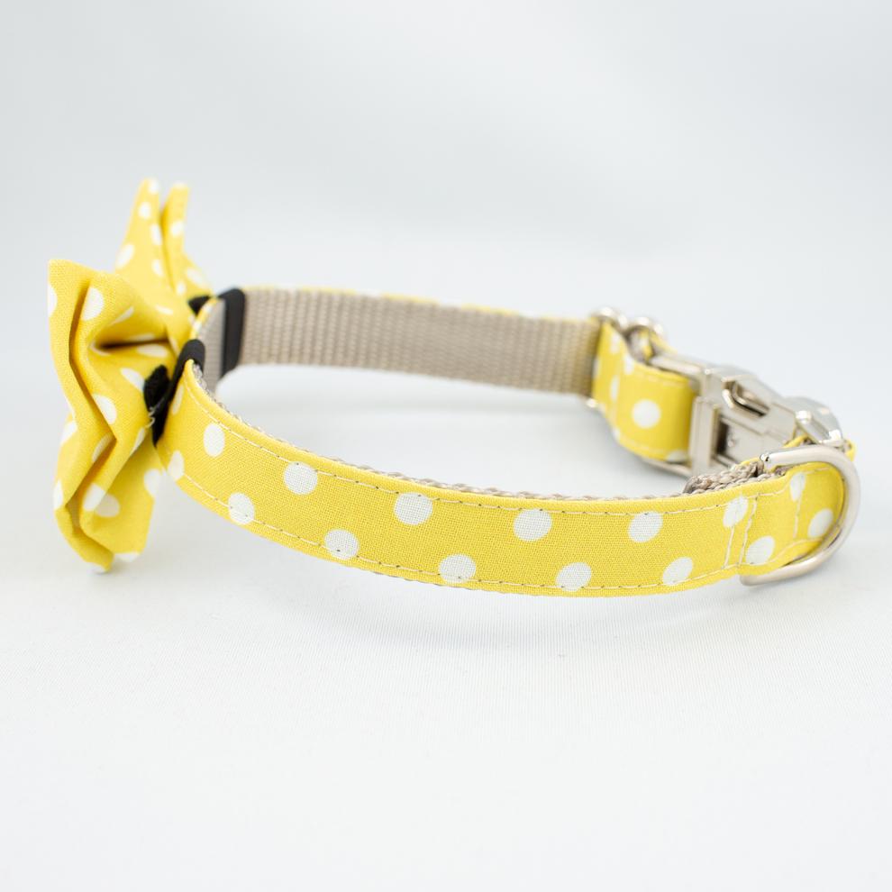 The Rover Boutique Gold Coast Bow Collar