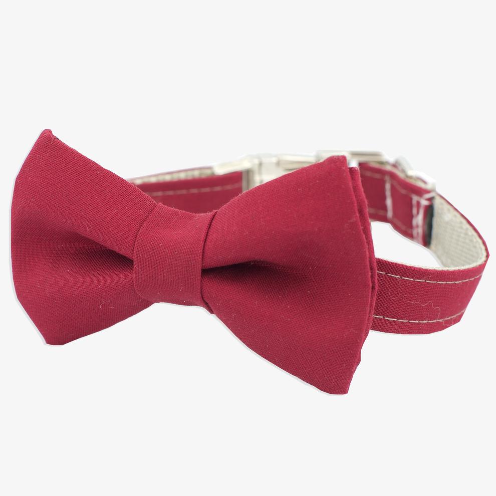 The Rover Boutique Hamilton Bow Collar