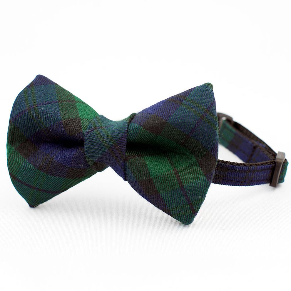 The Rover Boutique Morning Fog Cat Collar