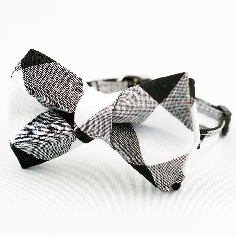 The Rover Boutique Newport Cat Collar