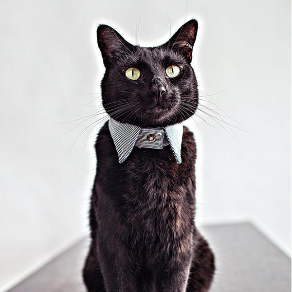 The Rover Boutique Striped Pointed Collar