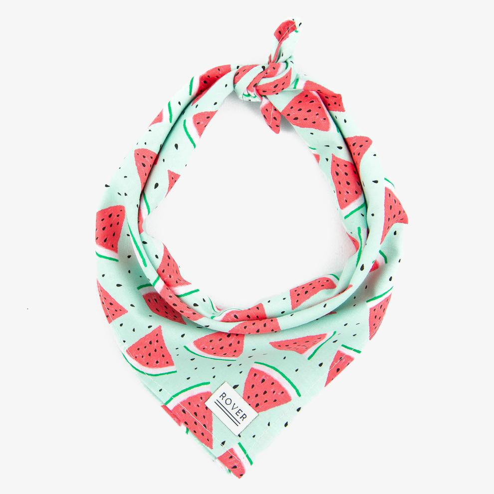 The Rover Boutique Summer Bandana