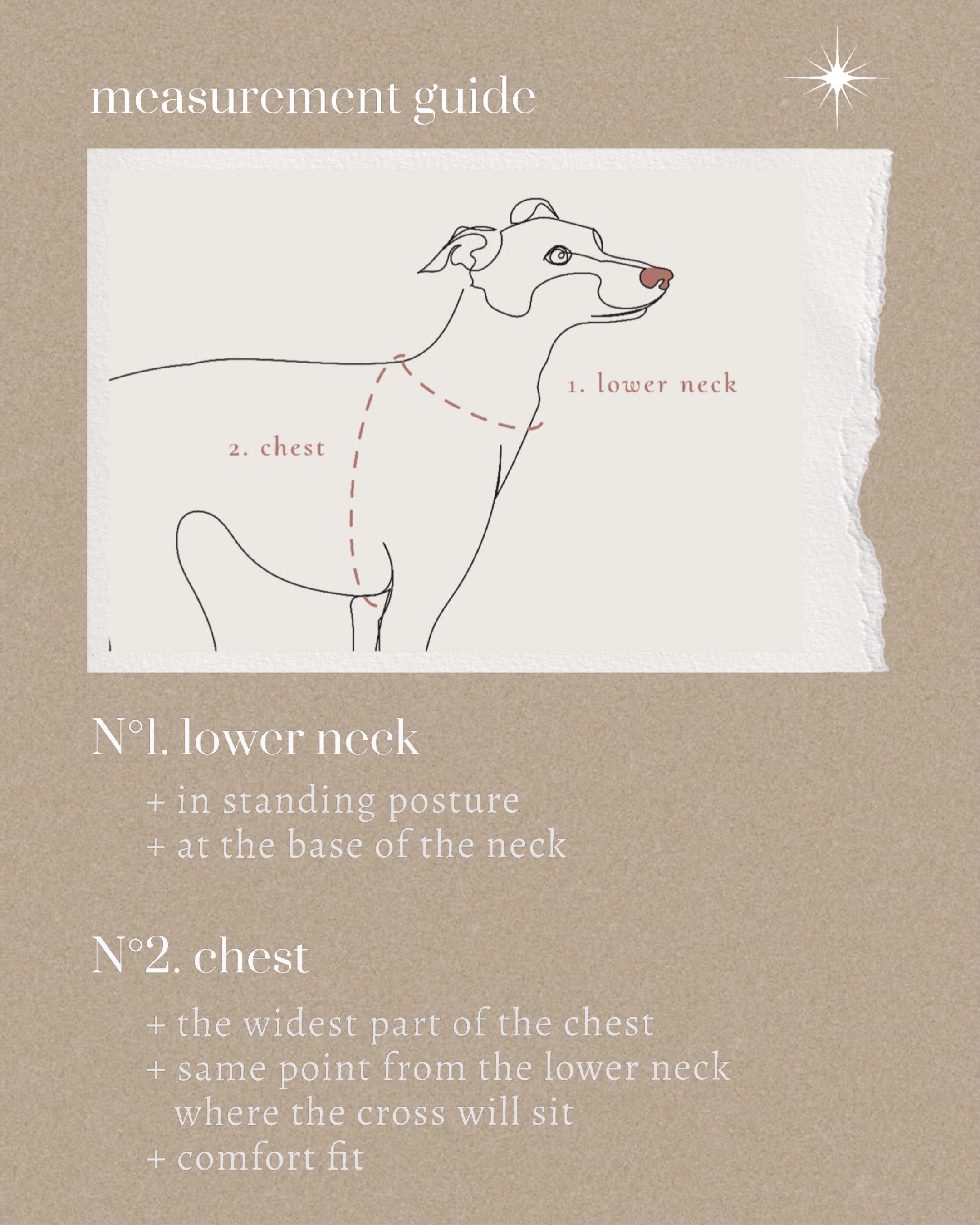 Linécru Harness '& || plain