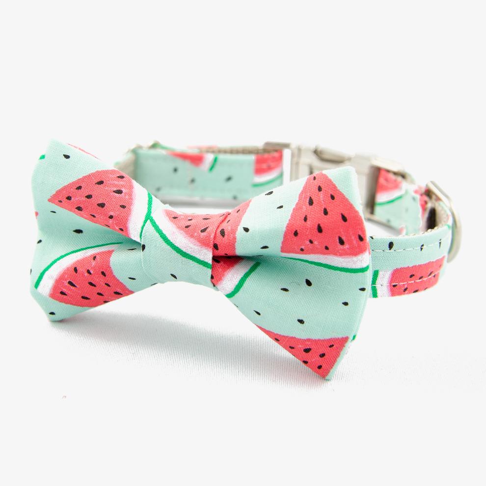 The Rover Boutique Summer Bow Collar