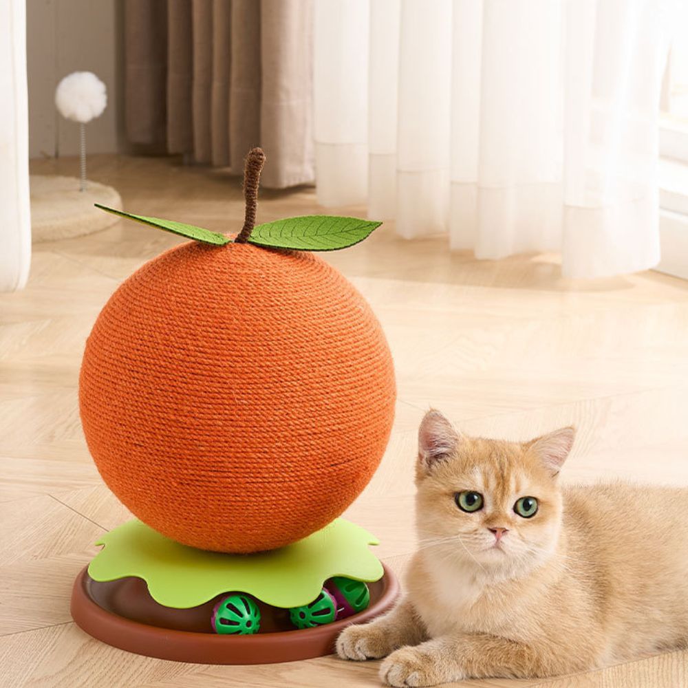 The Collective Golden Mandarin Cat Scratcher