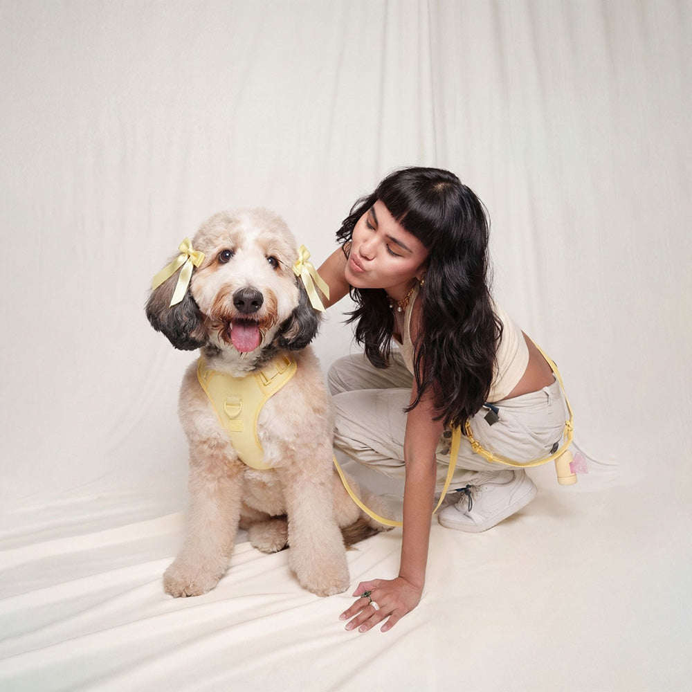 Furry Muse Wander! Bow Harness 2.0 Buttercream