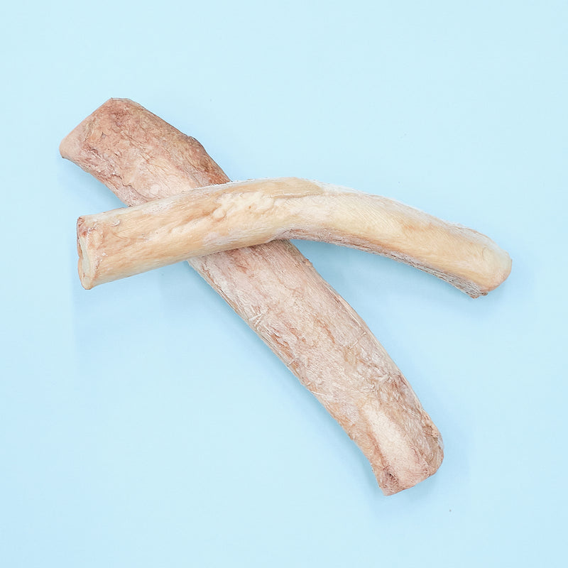 WildChow Beef Pizzle Bully Stick