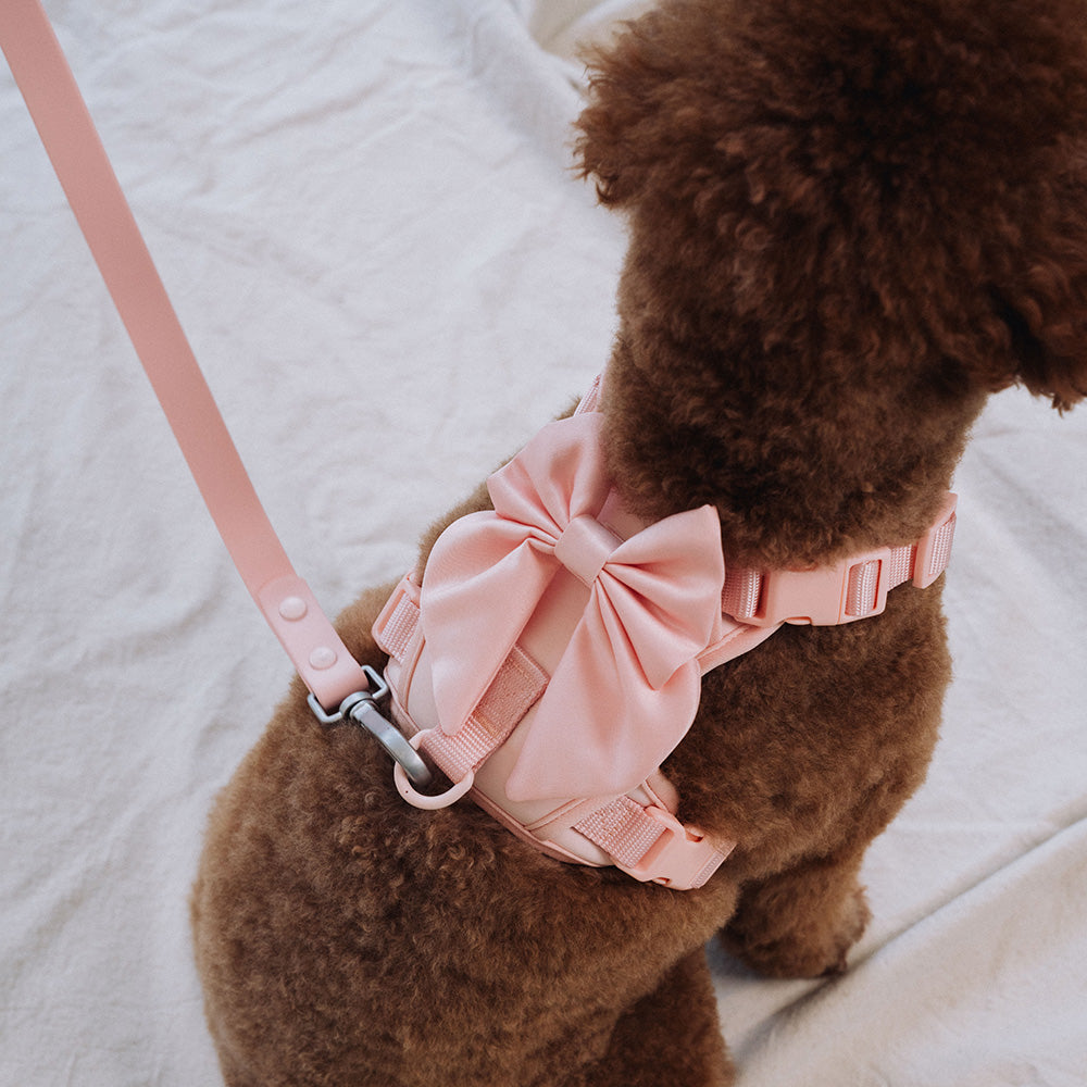 Furry Muse Wander! Bow Harness Blossom