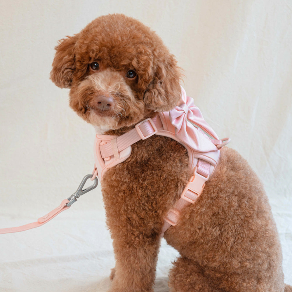 Furry Muse Wander! Bow Harness Blossom