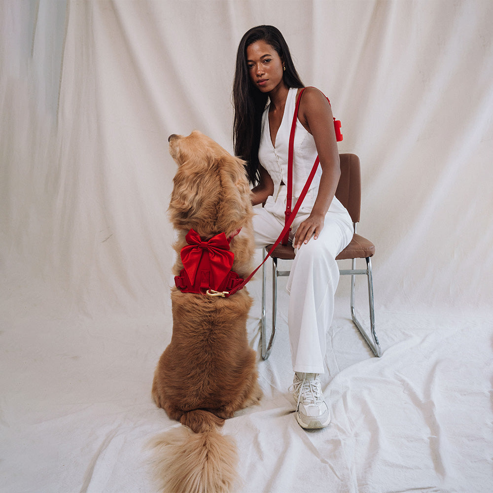 Furry Muse Wander! Bow Harness Cherry