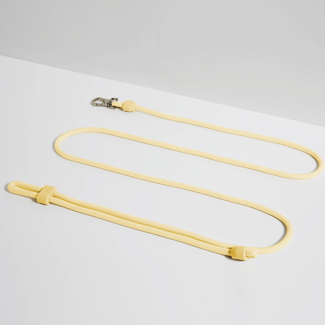 ST ARGO Hands-free Leash | Butter