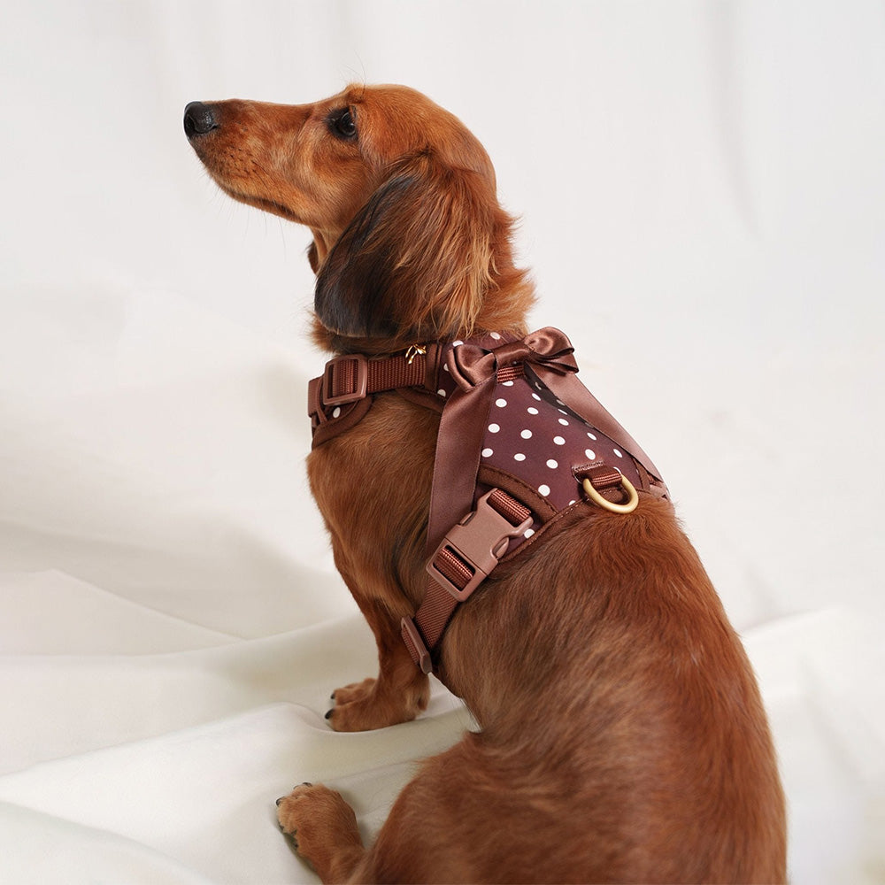 Furry Muse Wander! Bow Harness2.0 Cocoa Polka