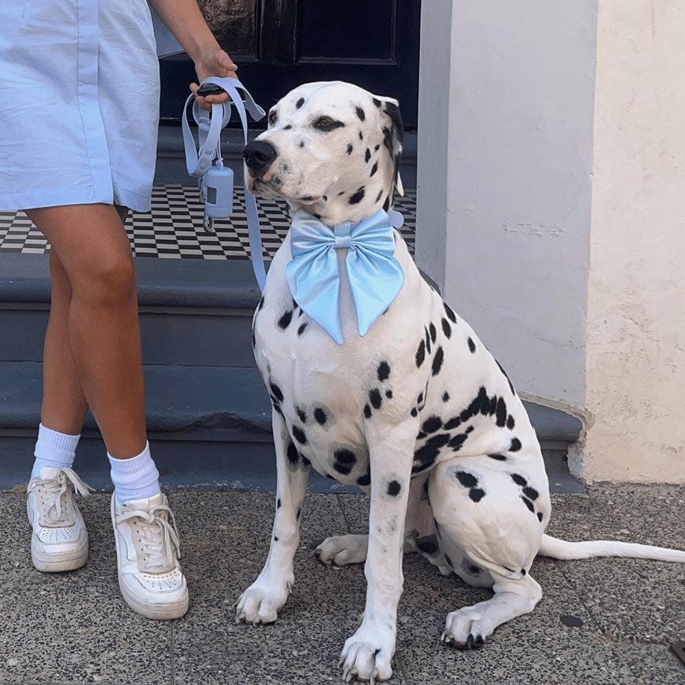Furry Muse Satin Collar Bow Sky