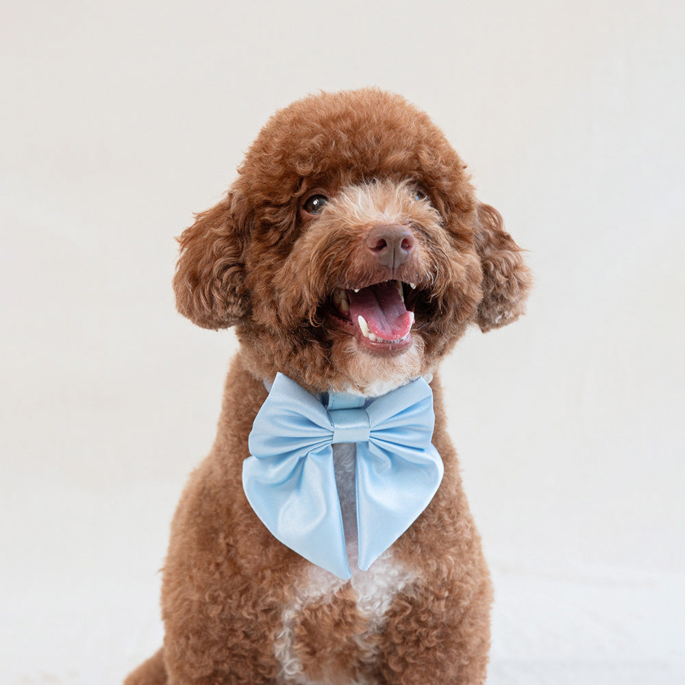Furry Muse Satin Collar Bow Sky