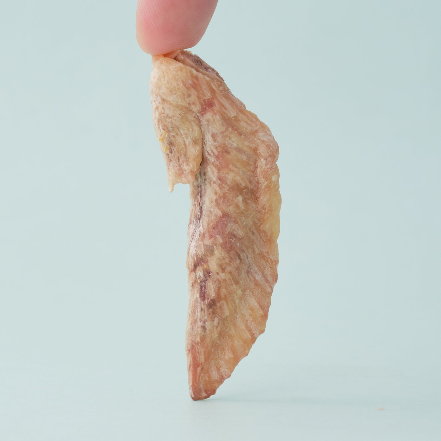 WildChow Chicken Wing Tip