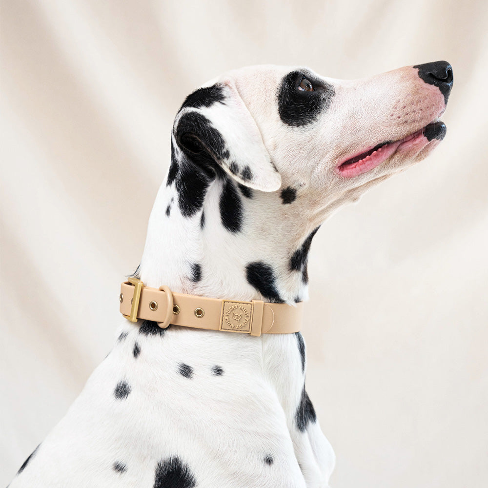 Furry Muse Wander! Waterproof Collar Latte