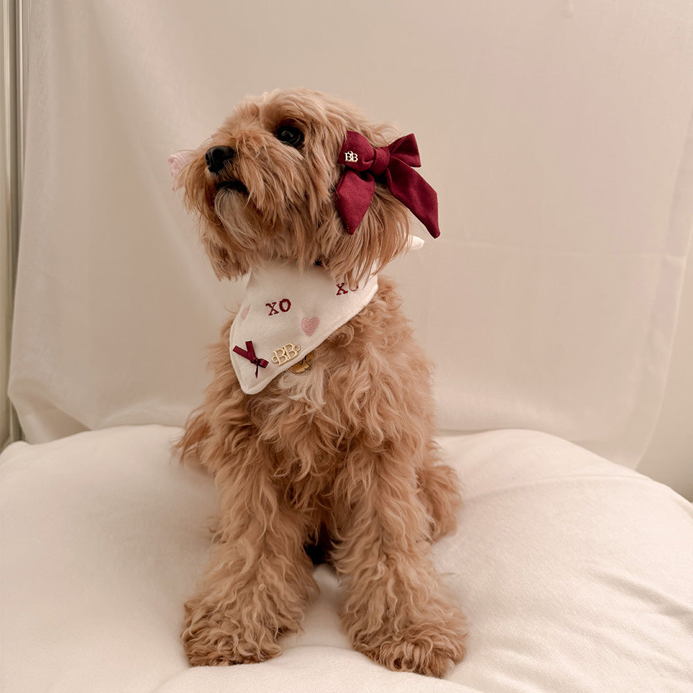 比利熊限量版情书头巾