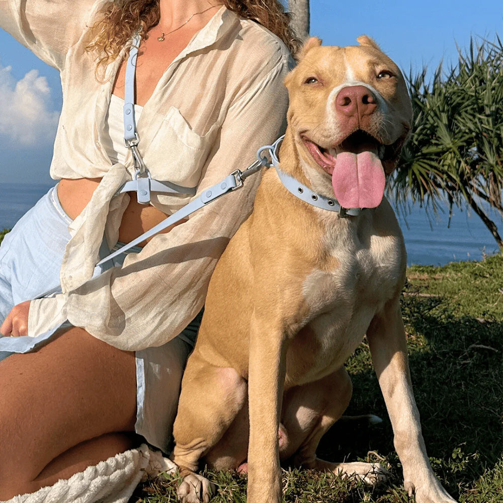 Furry Muse Wander! Multiway Waterproof Leash Sky