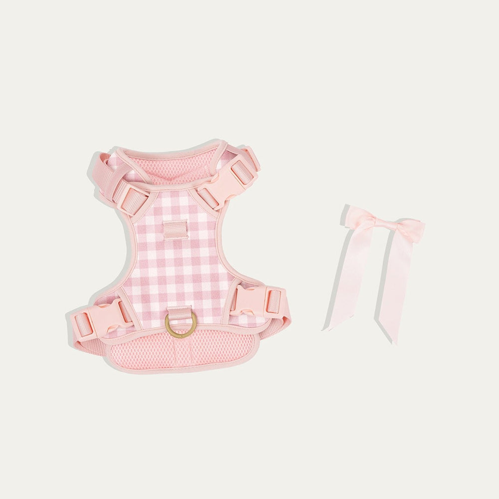 毛茸茸的缪斯漫游！弓形芭蕾舞女