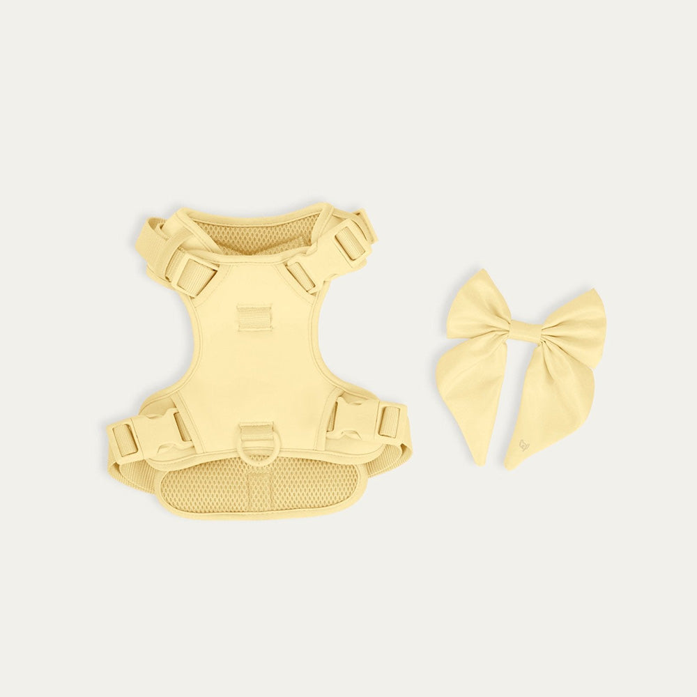 毛茸茸的缪斯漫游！弓箭背带天空