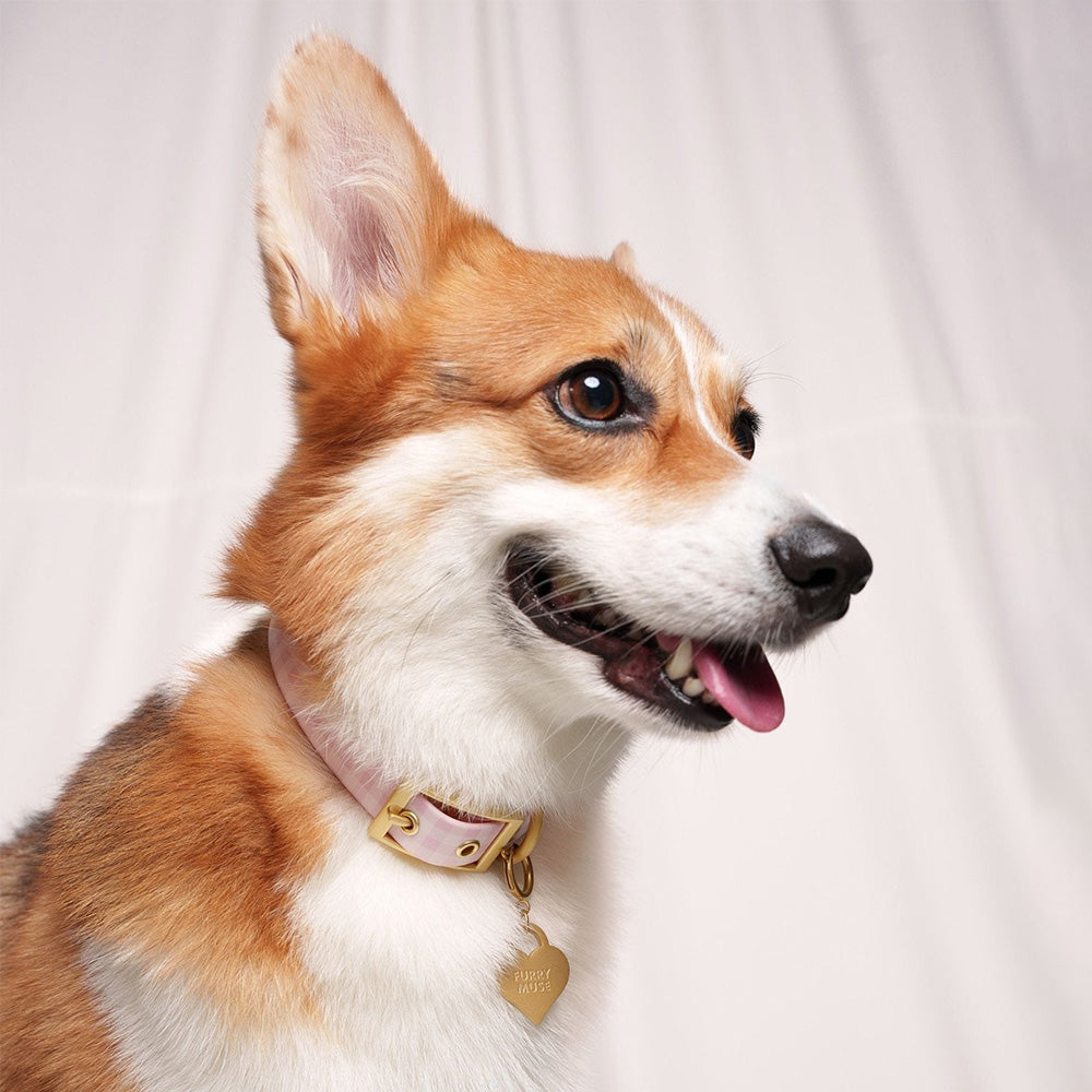 Furry Muse Wander！防水项圈 淡紫色