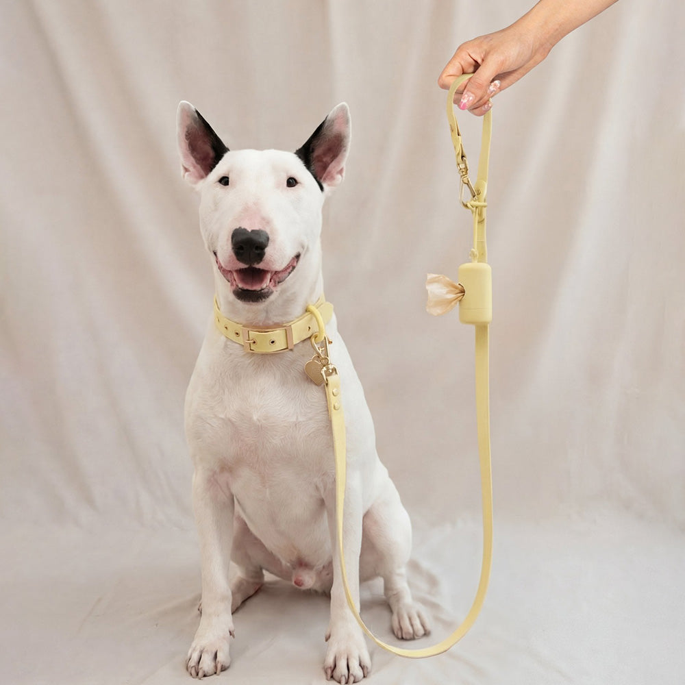 Furry Muse Wander! Multiway Waterproof Leash Buttercream