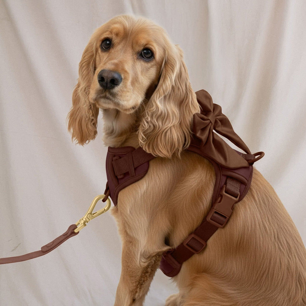 Furry Muse Wander! Multiway Waterproof Leash Cocoa