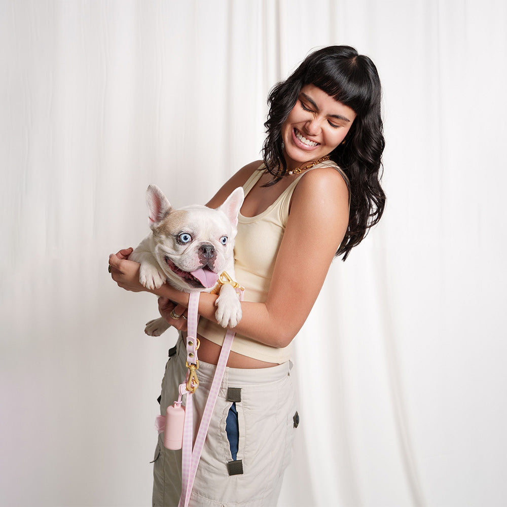 Furry Muse Wander! Multiway Waterproof Leash Blossom Gingham